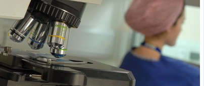 �R�����UFT�̌��ʗ\���ɂ���